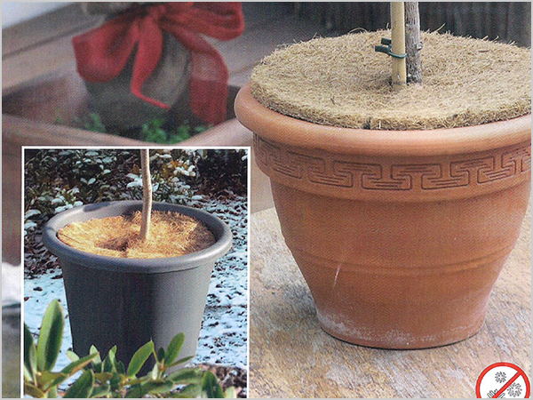 防凍護根-園藝種植袋_看圖王.jpg 防凍護根-園藝種植袋_看圖王.jpg