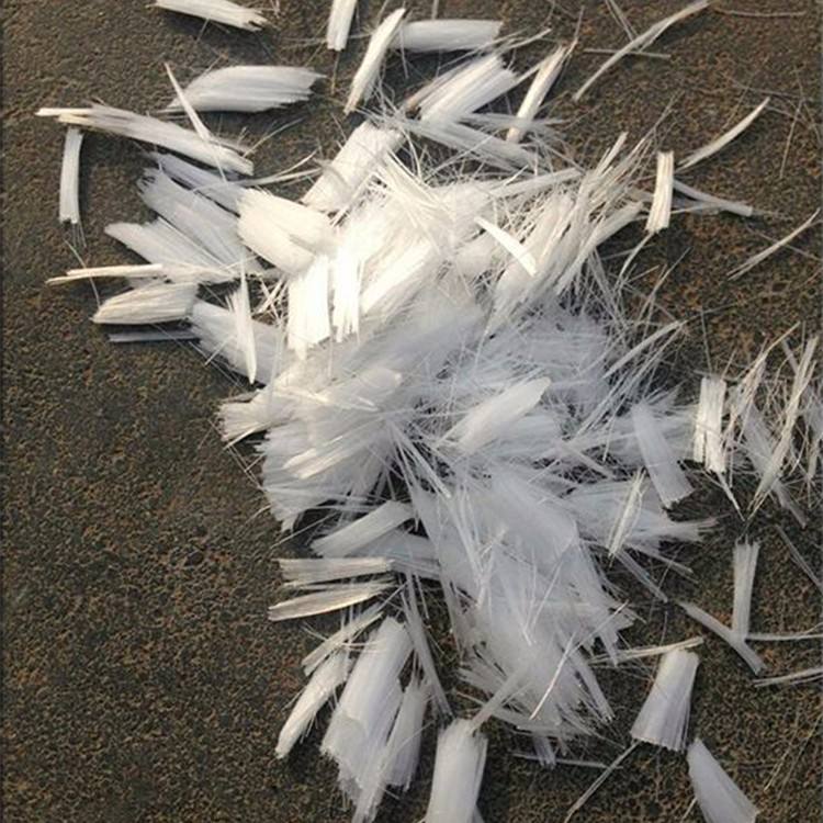 timg (20).jpg timg (20).jpg