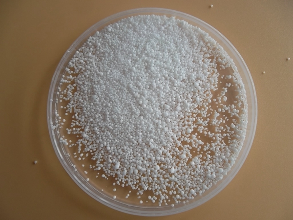 SAM_0098_副本.jpg SAM_0098_副本.jpg