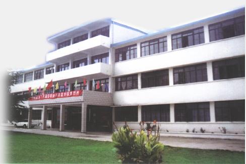 �|ݸ�Иs��������޹�˾