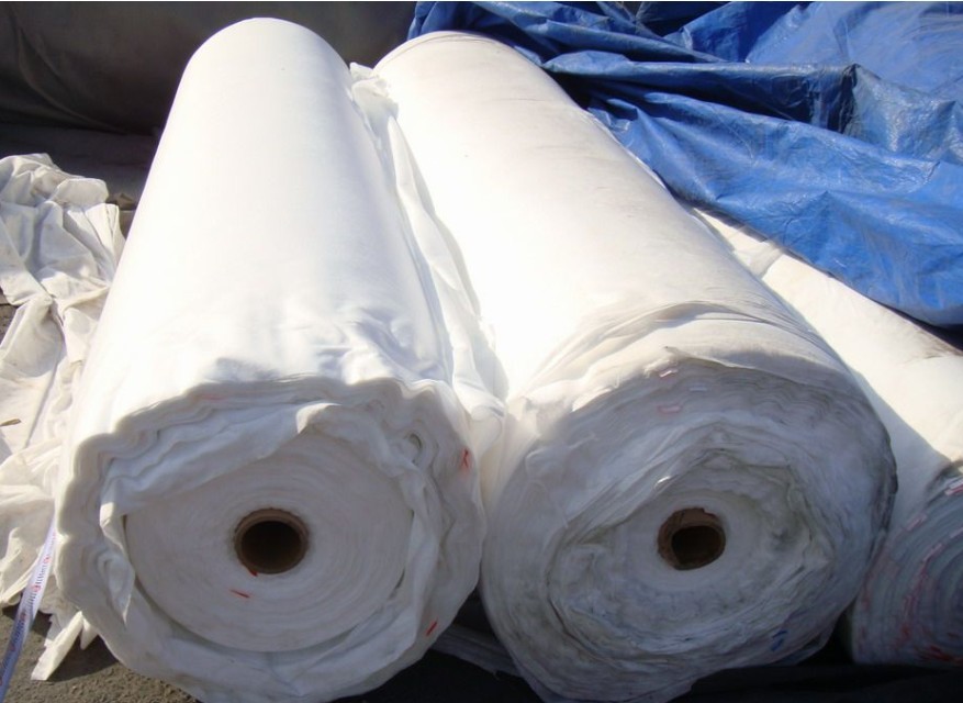 �����������o�������a�S