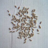 һ������PP