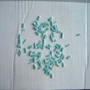 ���{����PP