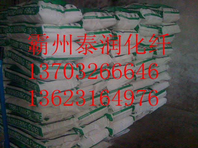 ���������w�S