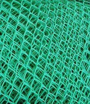 �����W������ϩ�����W