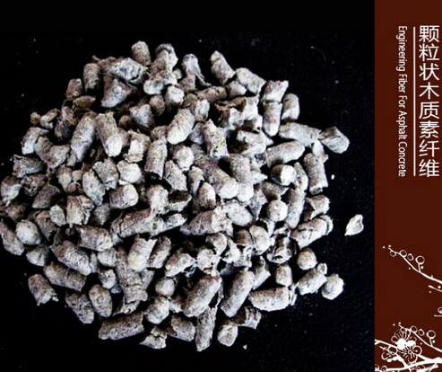 �w�S���w�S