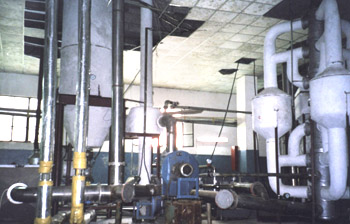 ���ӺY����C