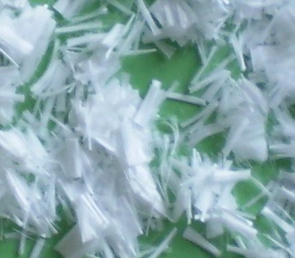 ���������w�S�r���������