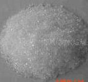 ʮ�������