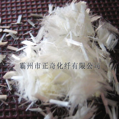 �ۃ�ϩ�����w�S