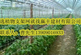 ����ֲ��֧�ܾW