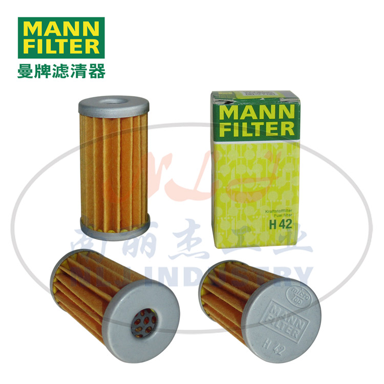 H42�C(j��)�͞V�������C(j��)�͞VоMANN-FILTER���ƞV����