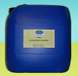 ���������T����������