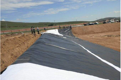 SE8680��ɫĸ��