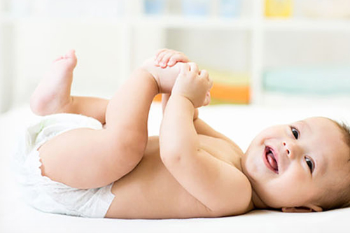 HPW818��ɫĸ��