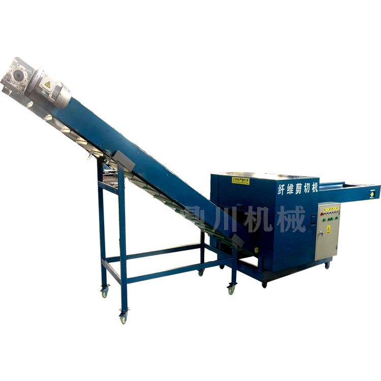 �����w�S�Д��C