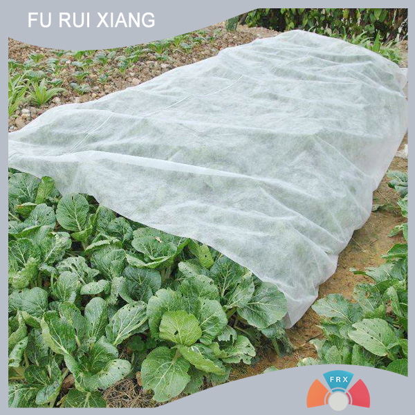 SMS�r�ñ��]��ճ�o����