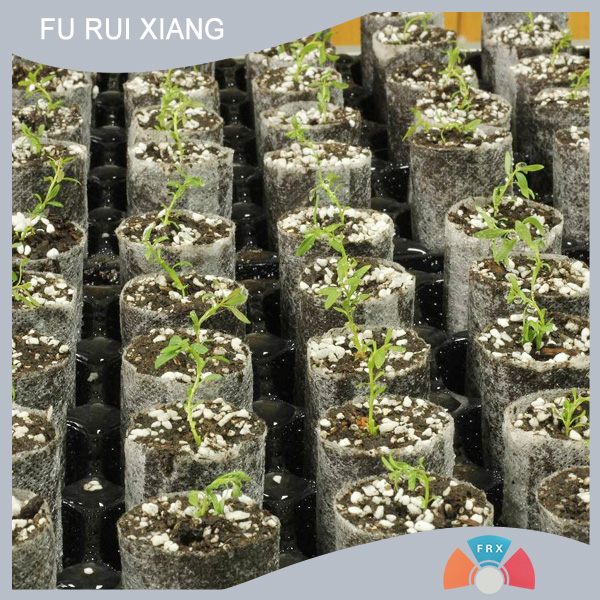 ��;�V�����r�ßo����