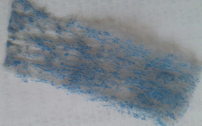 PP�۱�ϩ�{ɫ�o�����^�V�W 