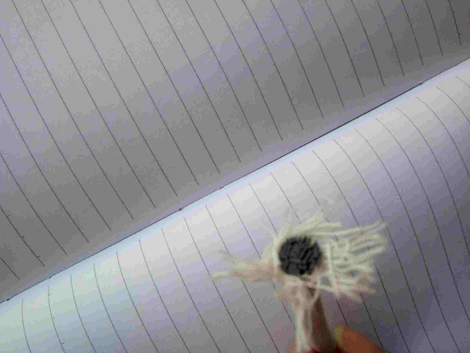 ��ُ�ɾo��