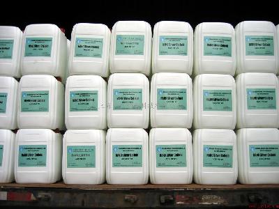 �J�C�����o�w���턩��������������������