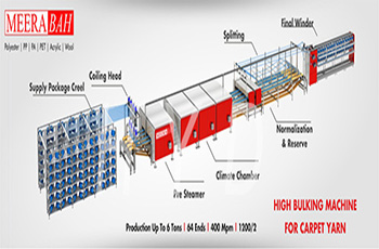 �����ᶨ�͙C