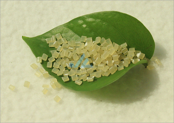 ���]�L�zɫĸ��