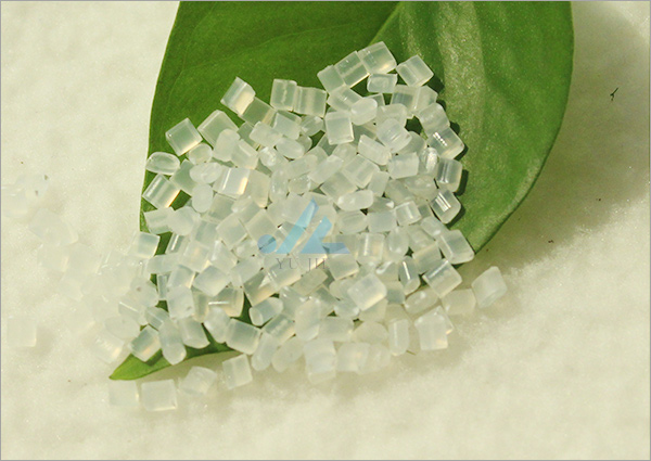 �h���͌�����...