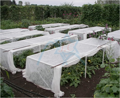 ��uv-�o����