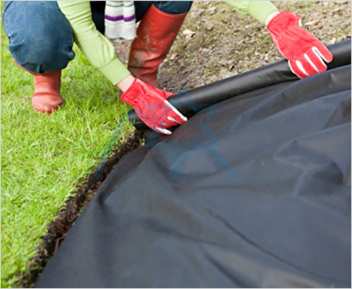 ��Ĥ�ü�ճ�o...