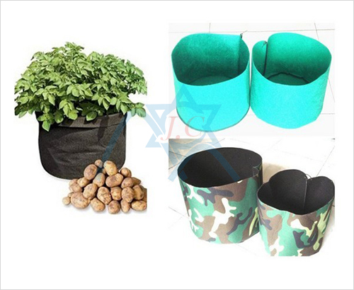 ֲ��������ü�ճ�o����