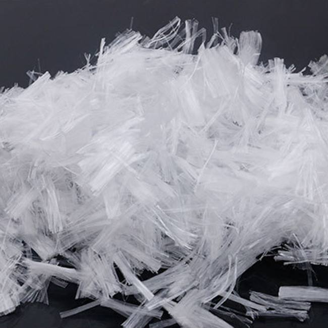 �͏��נ������w�S���S��(b��o)�r(ji��)