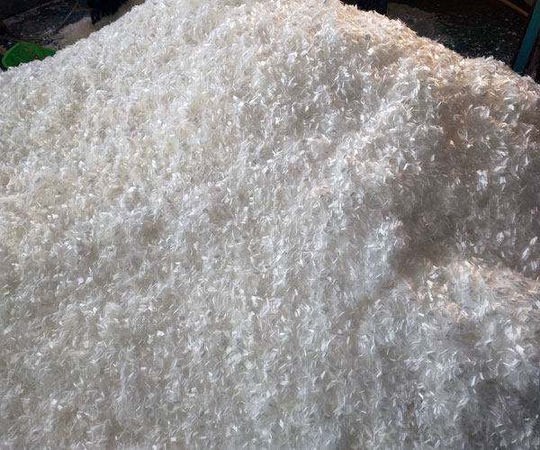 ���������w�S�S��