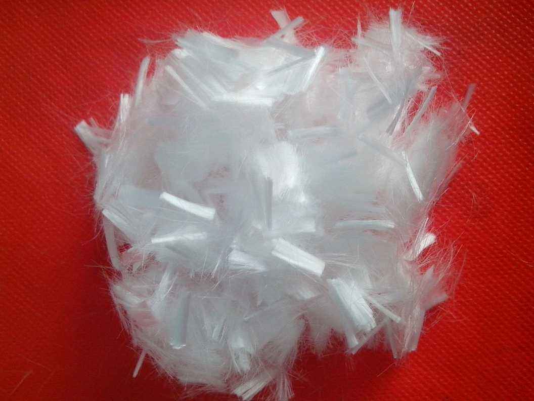 �x��·�����w�S����(y��ng)��