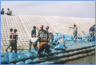 ����ģ����