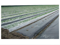 �������ßo����