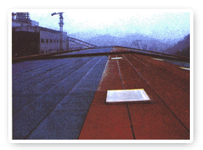 ����-10��3mmSBS�����w��ˮ����