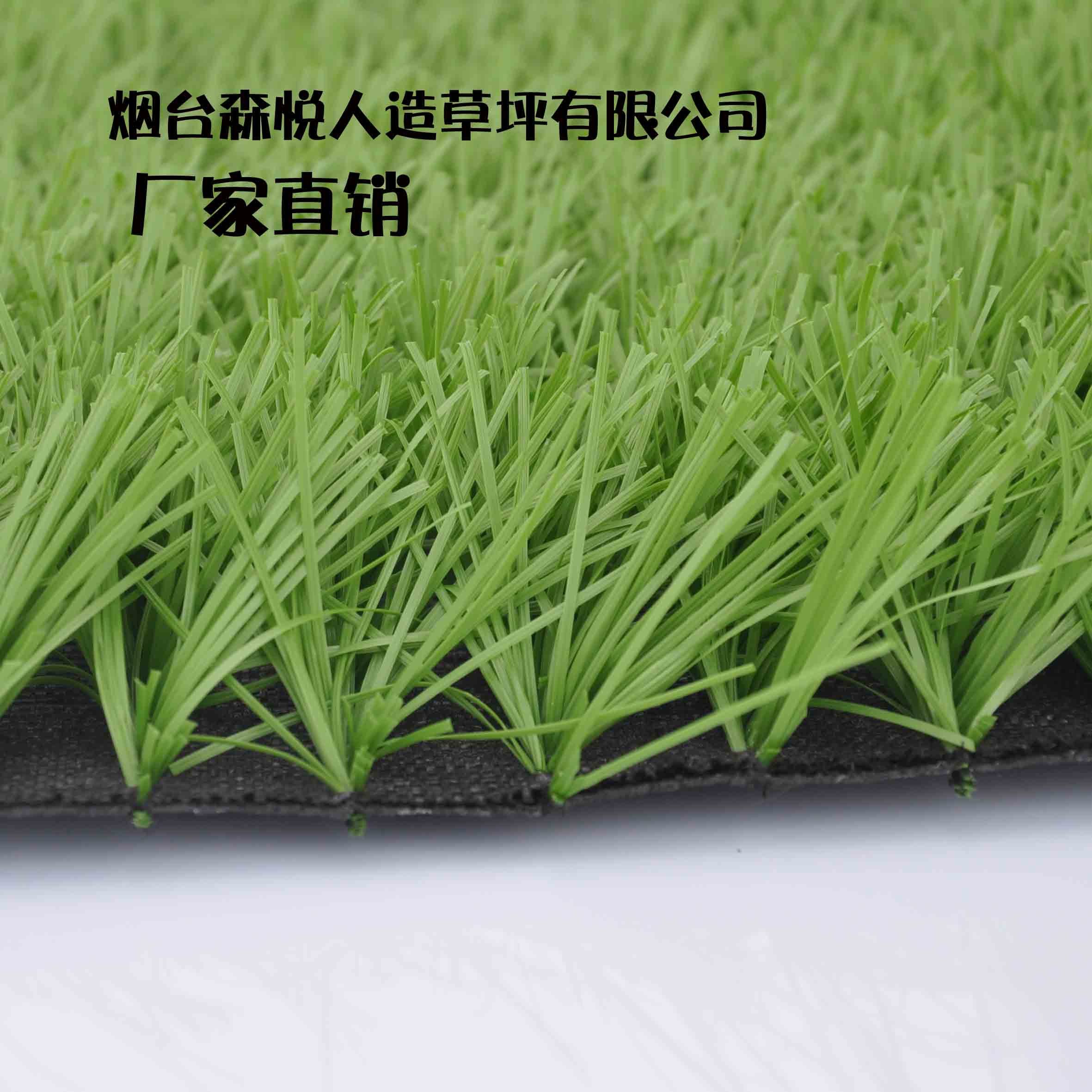 ���ͥԺ���e��ƺ