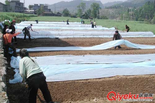 ����ˮ������o����