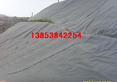 ��ꖿ��ϻ���ɏź���BĤ���}����ˮ�ط��BĤ