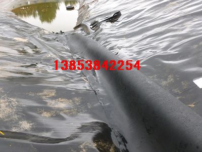 �B�~����ˮ������h�S�X�BֳĤ�����ɏź��