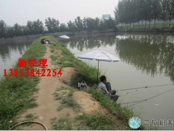 ��������ܿ�ɏź���÷�ˮ��+�S��ֱ�N%��