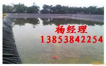 �R��ź�ط��BĤ%�~�����BĤ���˲����q�B(y��ng)ֳ