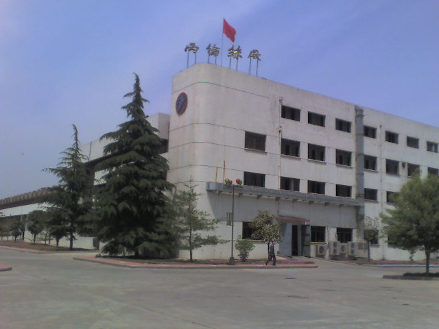 �ߏ�(qi��ng)�������]�L�z