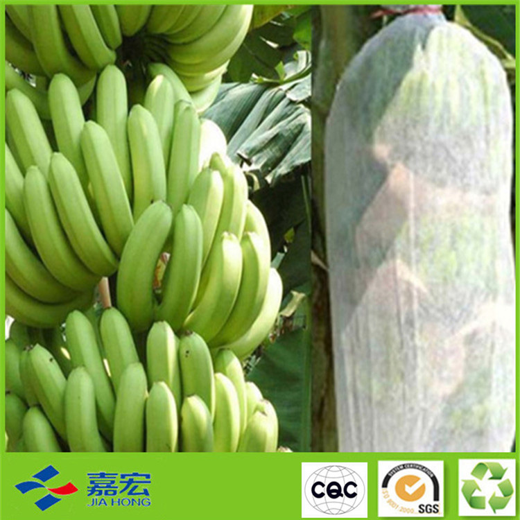 �o����ֲ����