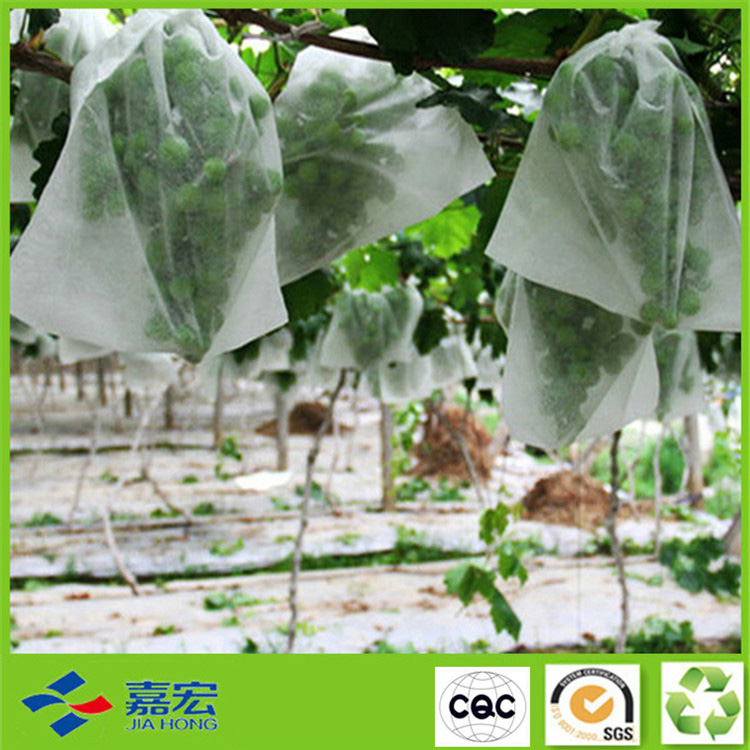 PP�o����ֲ����