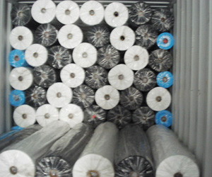 �o(w��)��������