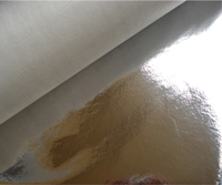 ��X����(f��)�ϟo(w��)����