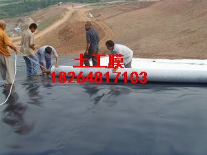 ������������Ĥ�h������ĤHDPE���BĤ