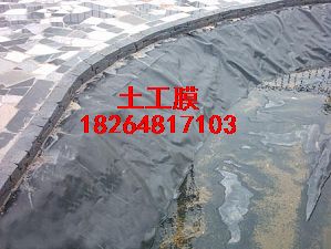 ������������Ĥ�G������ĤHDPE����Ĥ